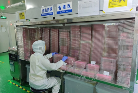 проверка качества продукции